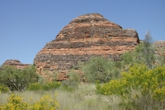 Knubbel