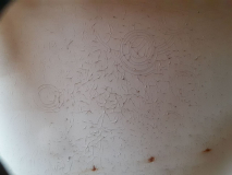 Esterel_Dach_20240718_195458