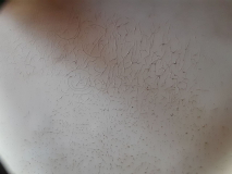 Esterel_Dach_20240718_195508