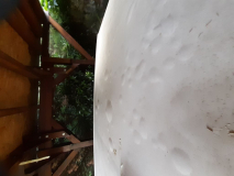 Esterel_Dach_20240720_075048