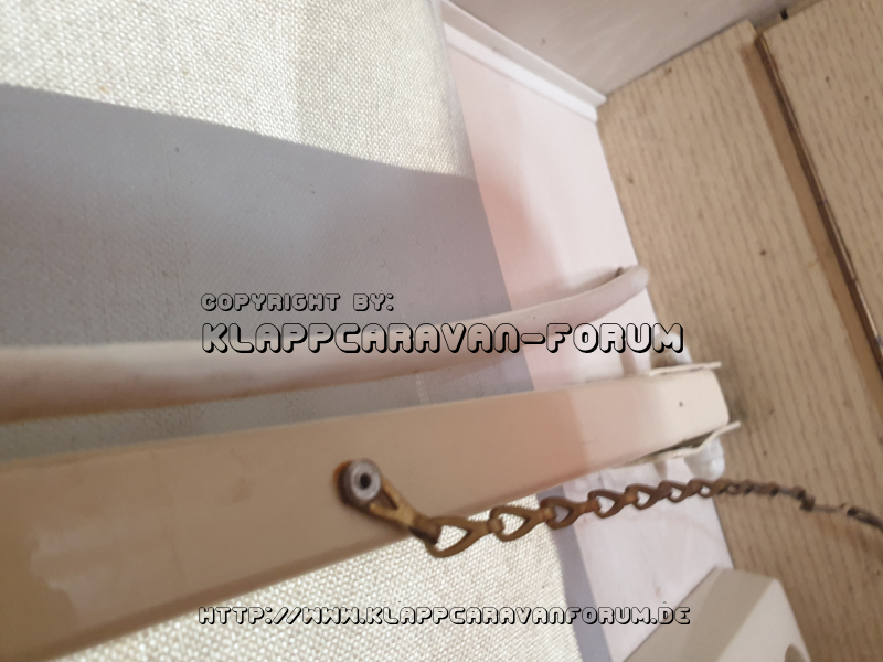 Paradiso Klappschaniere