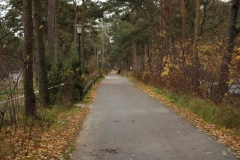 Dünencamp Karlshagen Usedom - Weg auf der mittleren Düne
