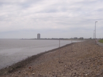 Rätselbild nordseekrabbe