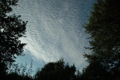 Kalenderbild 2014 (21)