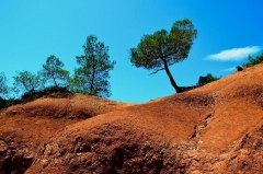 Kalenderbild 2014 (22)