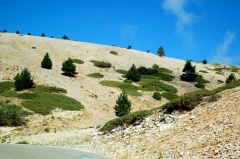 Kalenderbild 2014 (35)