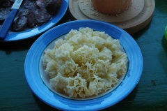 Frühstück 8